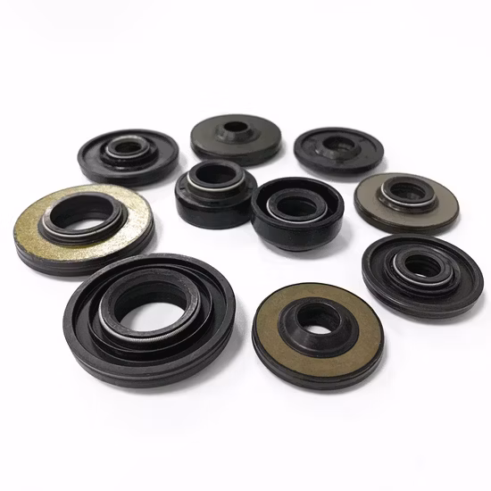 Cog Rubber Shock Absorber Oil Seal Tc/Sc NBR/FPM O Ring Gasket for Spare Parts